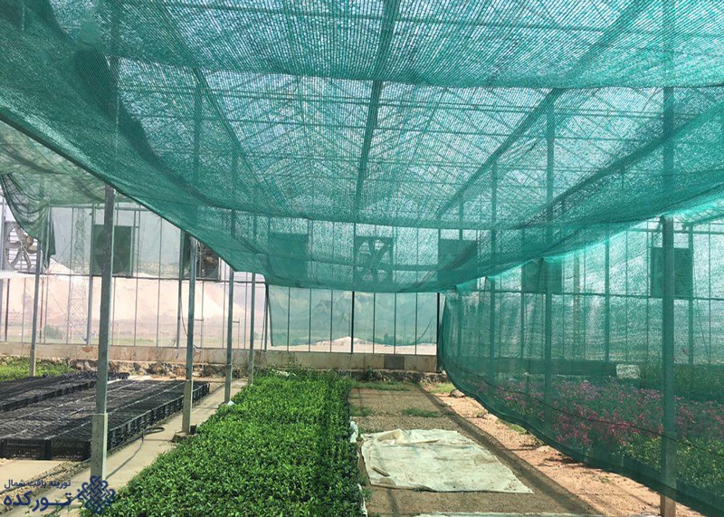 توری سایبان سبز برای گلخانه